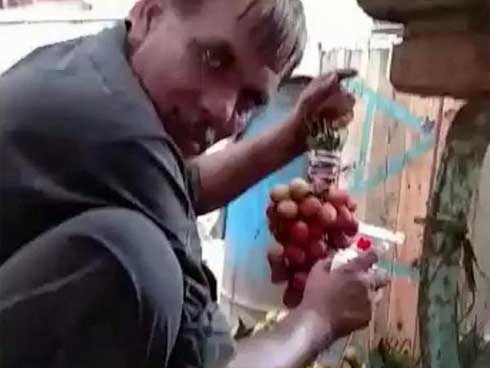 Dì bị tiêu chảy sau khi mua nho bên đường, cháu gái đến nơi bán quay được cảnh bất ngờ