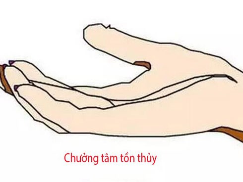 Bất kể là nam hay nữ, chỉ cần sở hữu đặc điểm này trên tay thì nghèo mấy cũng sẽ có ngày phát tài, giàu có phú quý tự đến