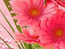 Thứ Bảy của bạn (15/9): Bọ Cạp chớ làm gì mà không phải vì chính mình Thứ Bảy của bạn (15/9): Bọ Cạp chớ làm gì mà không phải vì chính mình