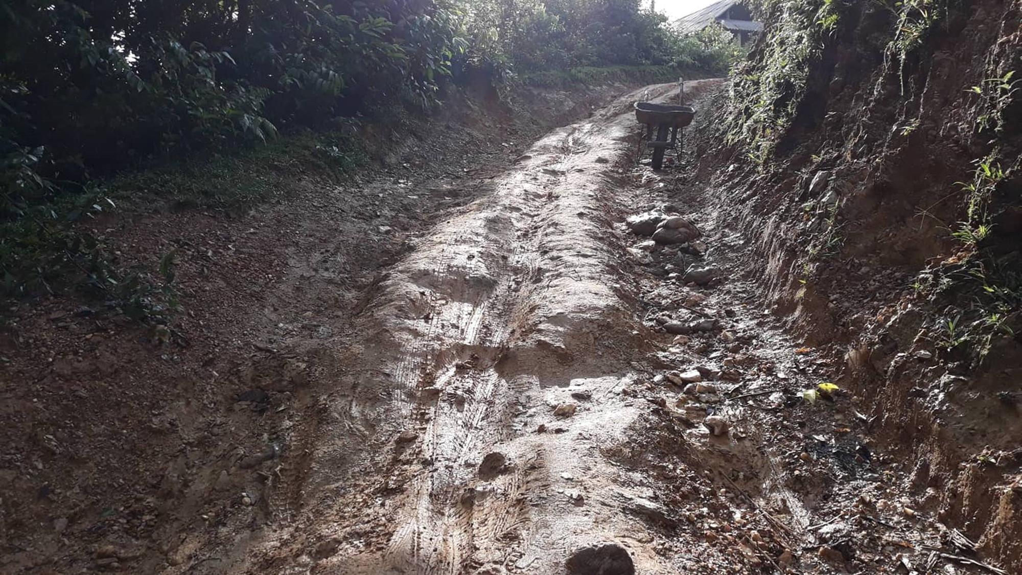 Di nguyện của cố nhà giáo Văn Như Cương trở thành hiện thực-3