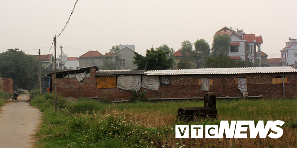 Những cái chết lạ kỳ, kinh hoàng ở ngôi làng mổ chó lớn nhất nước-3