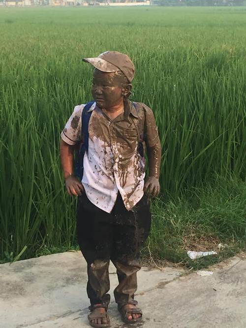 Lao xe xuống ruộng trên đường đi học, cậu bé này làm cư dân mạng cười ngặt nghẽo-1