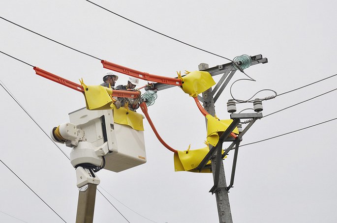 EVN HANOI khuyến cáo sử dụng điện an toàn trong những ngày mưa bão-1