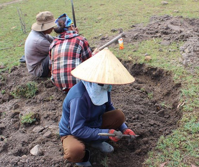 Phú Yên: Đổ xô đi đào loại đá đen lấp lánh dưới đáy hồ thủy điện-6