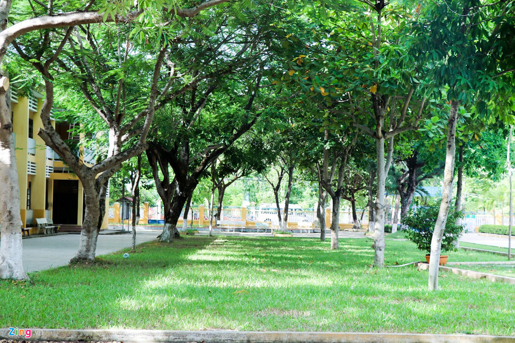 Hiệu trưởng: Hoa hậu Tiểu Vy học trung bình khá nhưng chăm ngoan-9