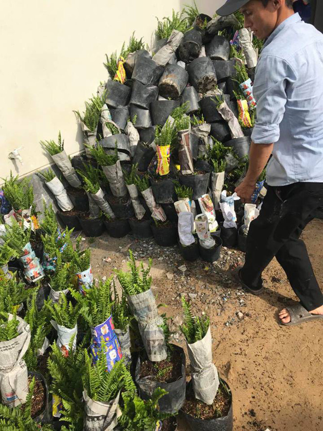 23 tuổi, Hương Tràm mua biệt thự rộng rãi, trồng hàng trăm cây xanh-3