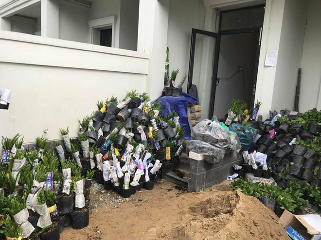 23 tuổi, Hương Tràm mua biệt thự rộng rãi, trồng hàng trăm cây xanh-4