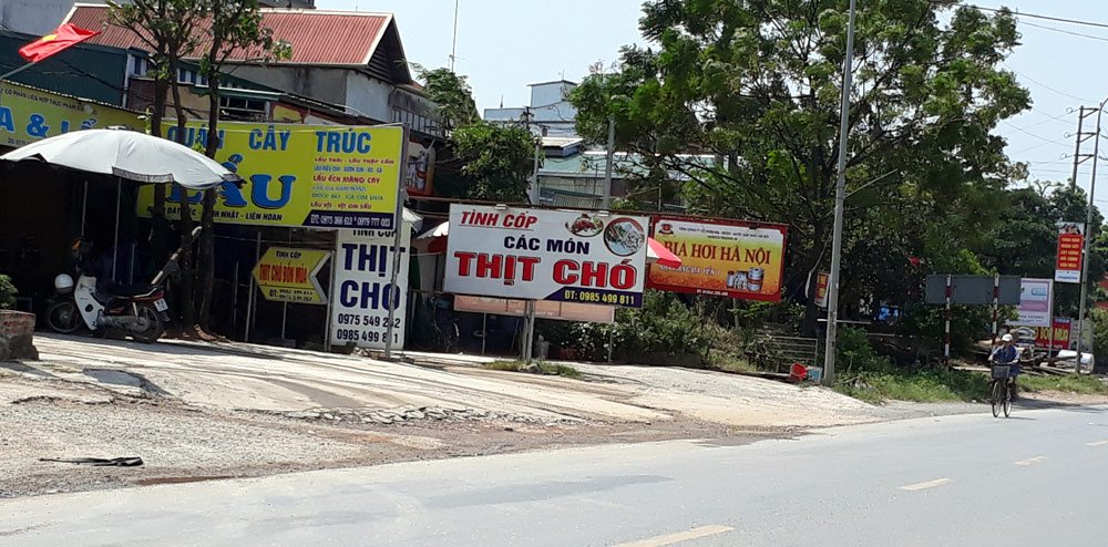 Tai nạn khiến chủ lò mổ chó ‘xanh mặt’, lập tức bỏ nghề-1