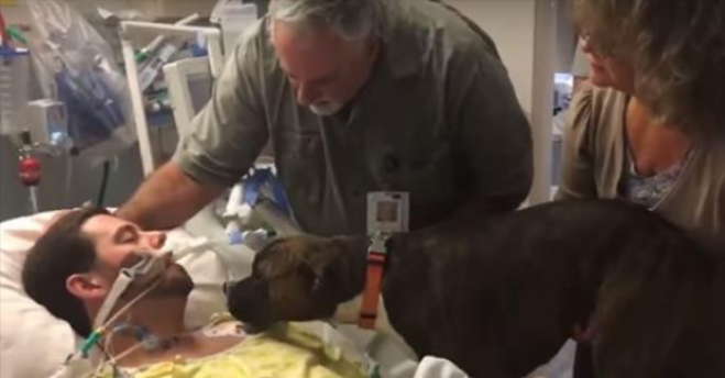 Khoảnh khắc chia ly đầy cảm động của chú chó với người chủ trẻ tuổi đang hấp hối được chia sẻ khắp MXH quốc tế-1