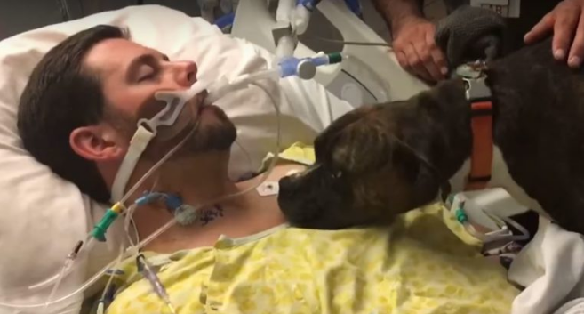 Khoảnh khắc chia ly đầy cảm động của chú chó với người chủ trẻ tuổi đang hấp hối được chia sẻ khắp MXH quốc tế-2