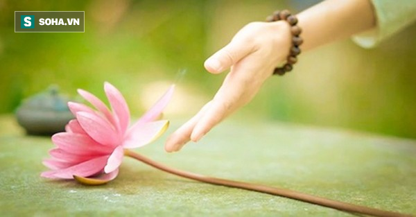 2 việc ngu xuẩn nhất, ai cũng nên tránh nếu không muốn hủy hoại chính mình-1