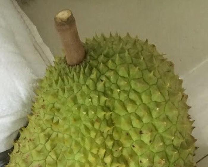 Mách chị em cách chọn sầu riêng trăm quả ngon như một, chỉ liếc qua cũng biết-4