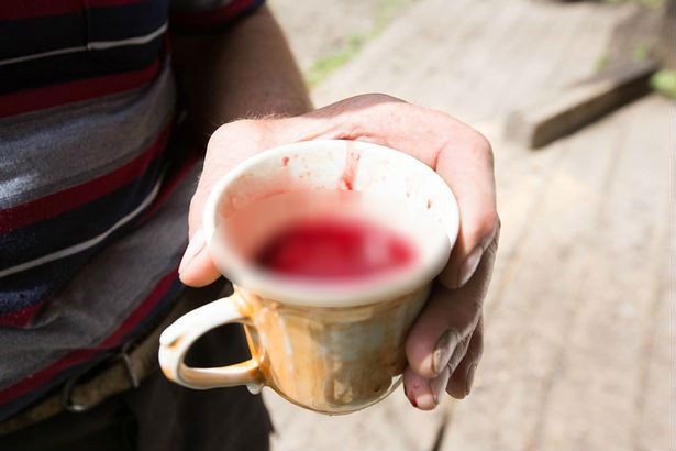 Huyết Lộc tửu - loại rượu thần kỳ khiến Càn Long trong Hậu cung Như Ý truyện thị tẩm cùng lúc 4 phi tần và sự tàn nhẫn đằng sau-2