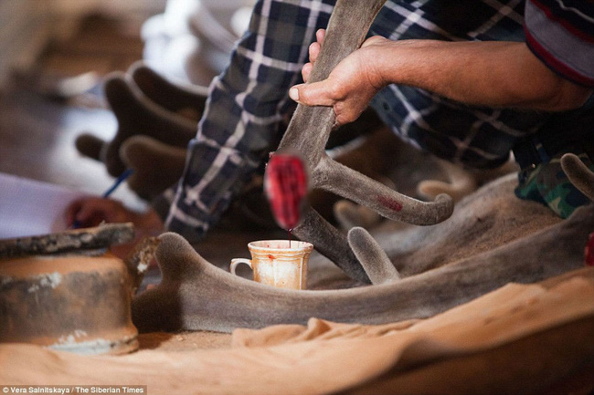 Huyết Lộc tửu - loại rượu thần kỳ khiến Càn Long trong Hậu cung Như Ý truyện thị tẩm cùng lúc 4 phi tần và sự tàn nhẫn đằng sau-6