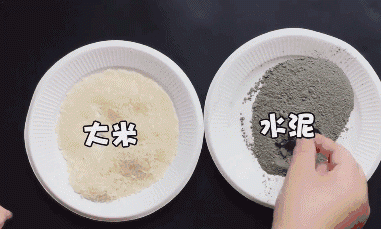 Chỉ cần một nắm gạo, diệt sạch bách được cả đàn chuột trong nhà không tốn một giọt mồ hôi-2