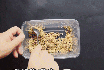 Chỉ cần một nắm gạo, diệt sạch bách được cả đàn chuột trong nhà không tốn một giọt mồ hôi-6