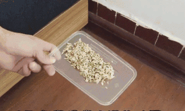 Chỉ cần một nắm gạo, diệt sạch bách được cả đàn chuột trong nhà không tốn một giọt mồ hôi-9