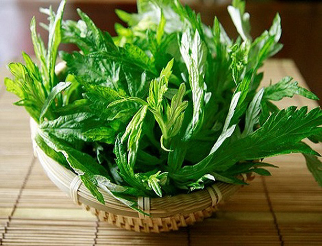 Ga đệm có rệp, chỉ cần đặt nắm lá này bên dưới rệp sẽ cao chạy xa bay-3