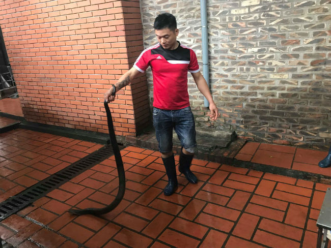 Làng nuôi rắn thu bạc tỷ của thủ đô giờ ra sao?-1