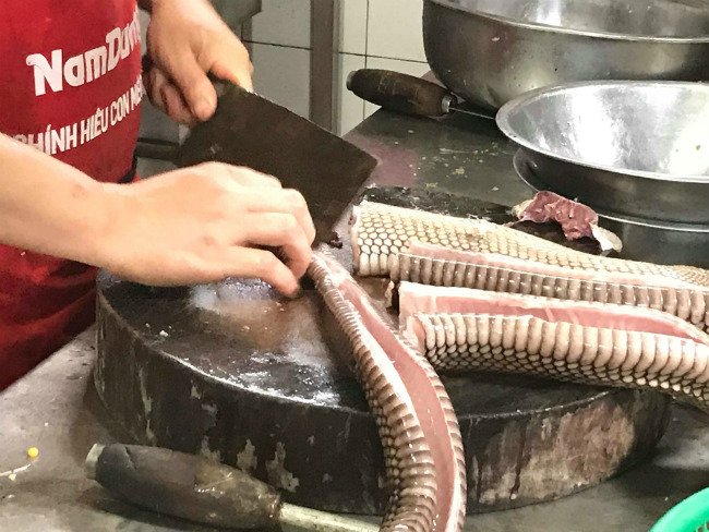 Làng nuôi rắn thu bạc tỷ của thủ đô giờ ra sao?-5