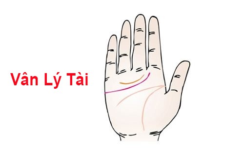 Đây là 4 bàn tay phú quý, ai sở hữu được thì cả đời vinh hoa phú quý, hậu vận tài chồng tài, phúc chồng phúc, viên mãn đủ đầy-2