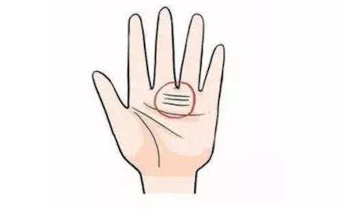 Đây là 4 bàn tay phú quý, ai sở hữu được thì cả đời vinh hoa phú quý, hậu vận tài chồng tài, phúc chồng phúc, viên mãn đủ đầy-3