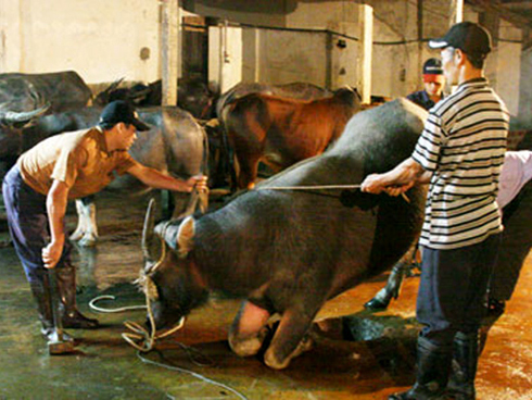 Khoa học Trung Quốc lên kế hoạch săn tìm linh hồn bằng công nghệ quét não mạnh nhất lịch sử loài người-5