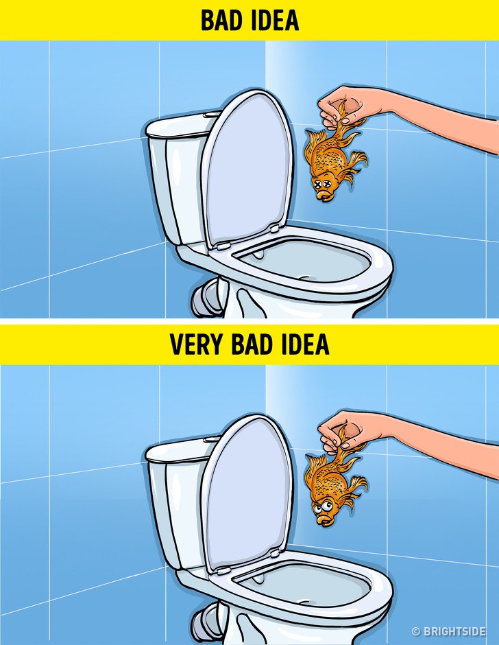 8 loại rác tuyệt đối không vứt vào bồn cầu nếu không muốn có ngày WC ngập ngụa-3