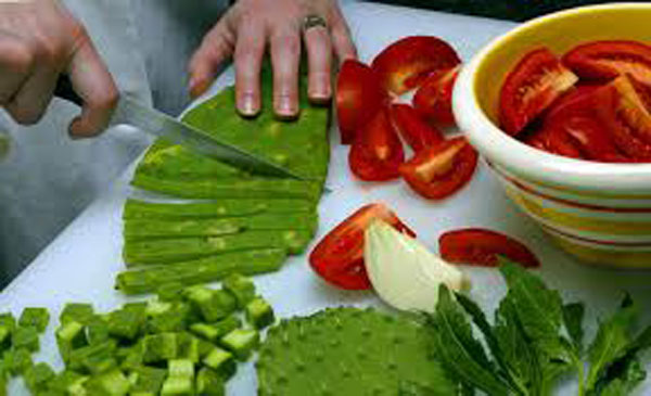 Kỳ lạ: Ăn cây xương rồng, gai góc phát sợ gọi là siêu thực phẩm-5