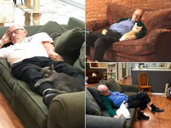 Đăng ảnh tình nguyện viên nằm ngủ say sưa cùng mèo, khu bảo trợ thú cưng nhận 1000 lượt truy cập mỗi phút