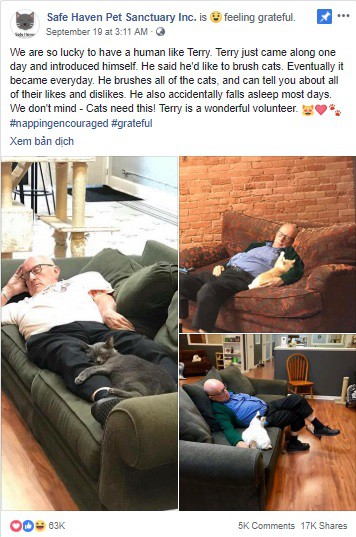 Đăng ảnh tình nguyện viên nằm ngủ say sưa cùng mèo, khu bảo trợ thú cưng nhận 1000 lượt truy cập mỗi phút-1