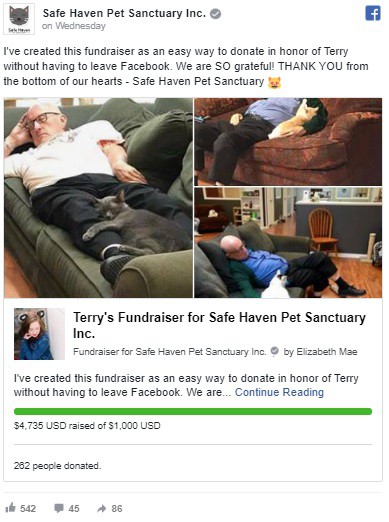 Đăng ảnh tình nguyện viên nằm ngủ say sưa cùng mèo, khu bảo trợ thú cưng nhận 1000 lượt truy cập mỗi phút-2