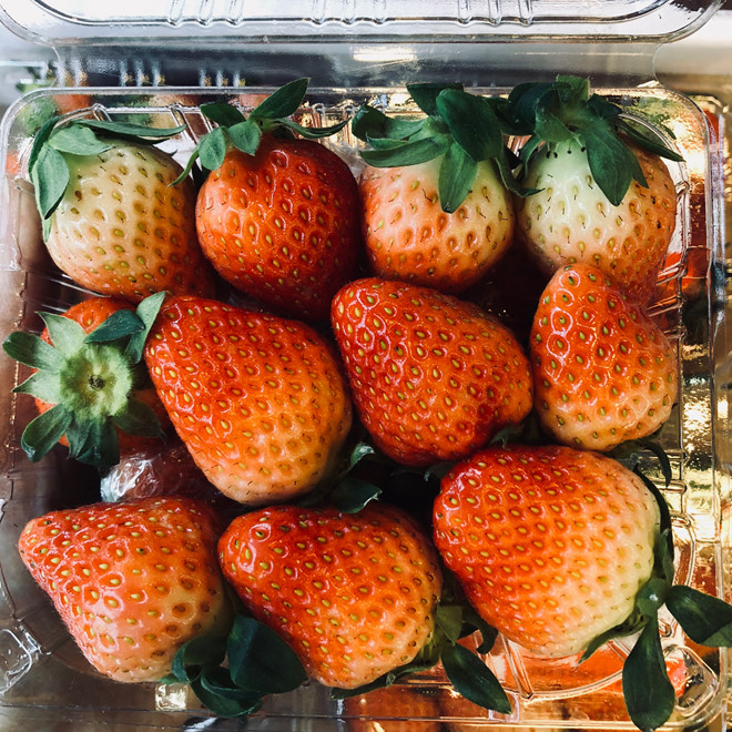 Nho 11 triệu đồng/chùm, dưa hấu 4 triệu/quả vẫn hút giới nhà giàu Việt-2