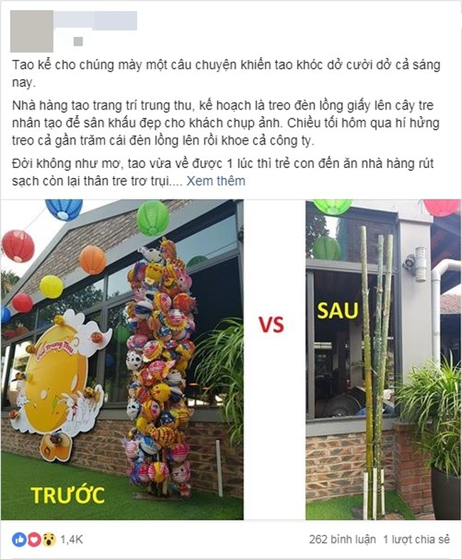 Treo cả trăm chiếc đèn lồng cho mọi người chụp ảnh, cô gái chết đứng khi lũ trẻ vặt sạch đèn, để lại mỗi cây tre-1