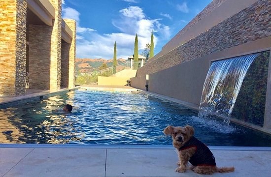 Bên trong những căn biệt thự triệu đô của sao Vbiz: Người dát vàng như cung điện, người tỷ mỉ bày trí từng món đồ kỳ công bắt mắt!-23