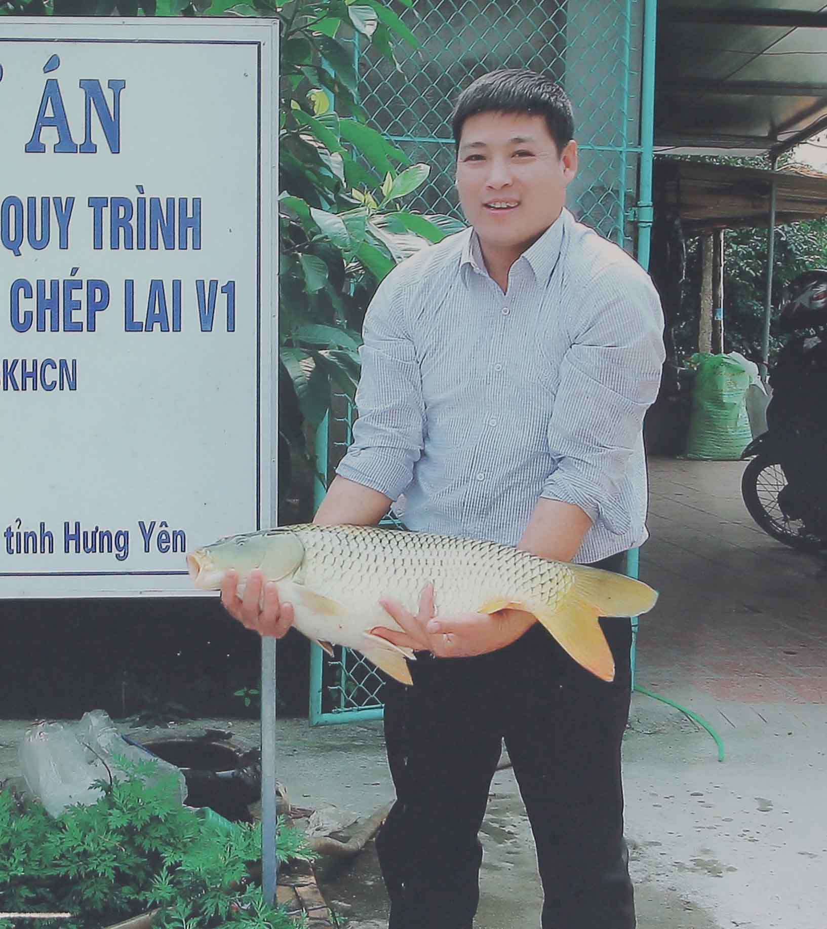 Bể cá thần 10 tỷ của anh nông dân Hưng Yên-8