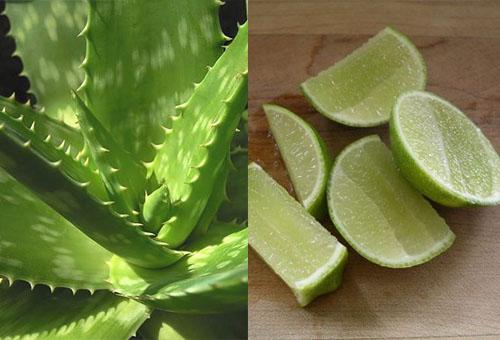 Cho thứ này vào tủ lạnh đông đá rồi chà lên mặt, da cứ thế lên 2-3 tone-2