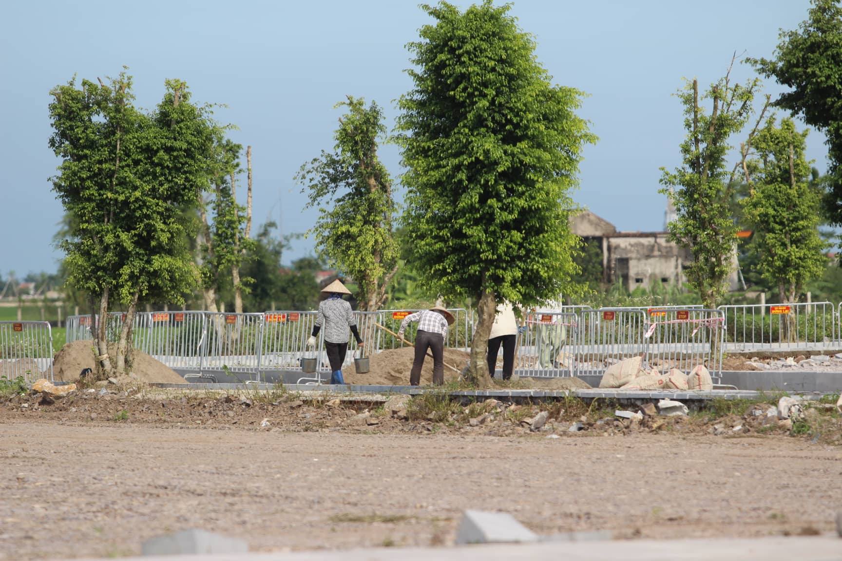 Quê nhà Ninh Bình gấp rút chuẩn bị lễ Quốc tang Chủ tịch nước-4