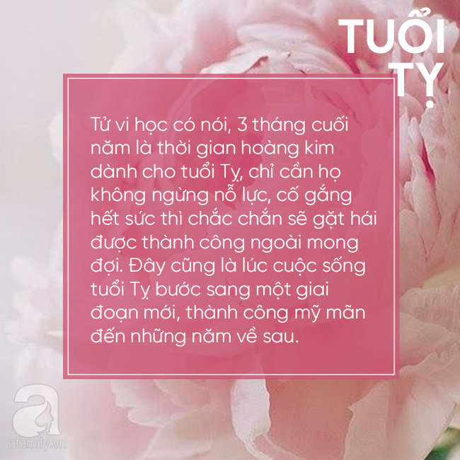 Ngày hoàng kim đang đến gần, 3 con giáp này chuẩn bị tinh thần đón lộc trời cho, 3 tháng cuối cùng của năm phát tài bất ngờ-3