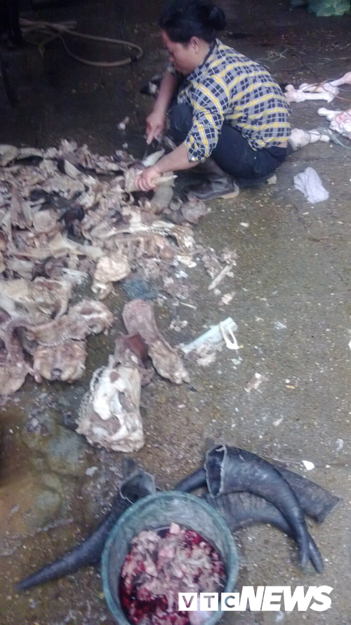 Kinh dị chuyện trâu hóa điên húc người ở làng mổ trâu lớn nhất Việt Nam-3