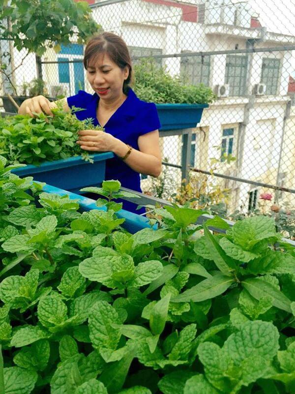 Chỉ 40m² sân thượng, mẹ Hà Nội gây bất ngờ với vườn ngập rau trái, gà, trứng ăn quanh năm-6