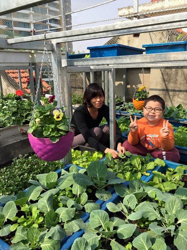 Chỉ 40m² sân thượng, mẹ Hà Nội gây bất ngờ với vườn ngập rau trái, gà, trứng ăn quanh năm-7