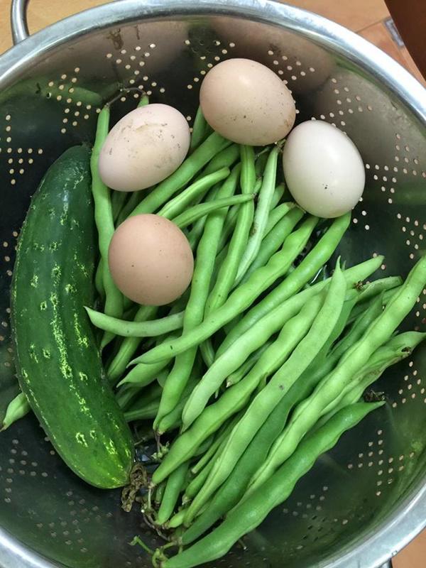 Chỉ 40m² sân thượng, mẹ Hà Nội gây bất ngờ với vườn ngập rau trái, gà, trứng ăn quanh năm-11