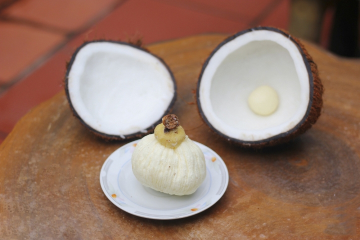 Mộng dừa là gì mà có giá cao gấp 30 lần quả dừa?-1