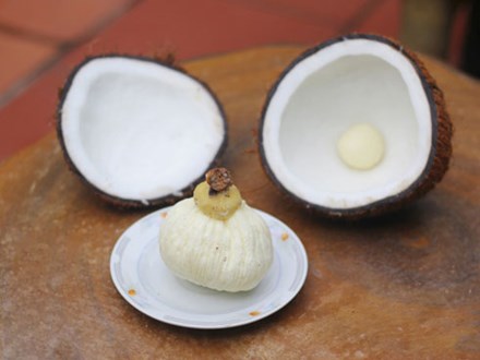 Mộng dừa là gì mà có giá cao gấp 30 lần quả dừa?