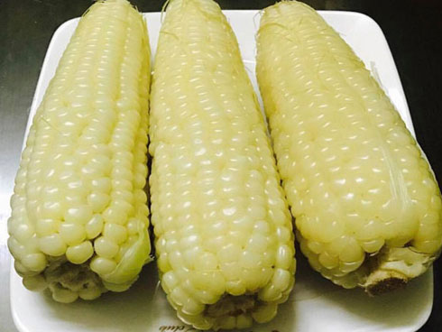 Thực hư chuyện nhà hàng cho tôm hùm...hít cần sa trước khi chế biến-3