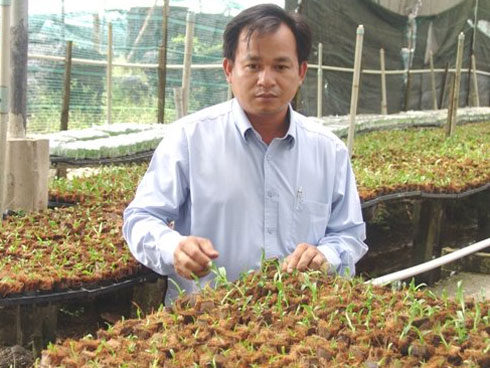 Chấn động: Đại gia Đà Nẵng bỏ 6,8 tỷ mua gốc lan đột biến 5 cánh-8