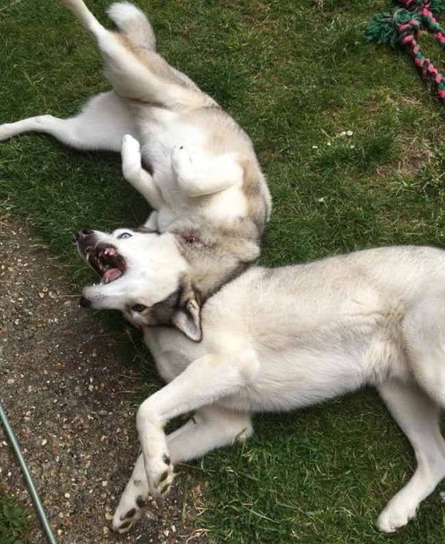 Chộp khoảnh khắc trùng hợp tình cờ đến bất ngờ-4