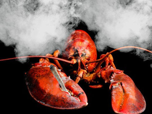 Lầu Năm góc tiêu tốn hơn 100 tỷ đồng để ăn cua, tôm hùm một tháng-2