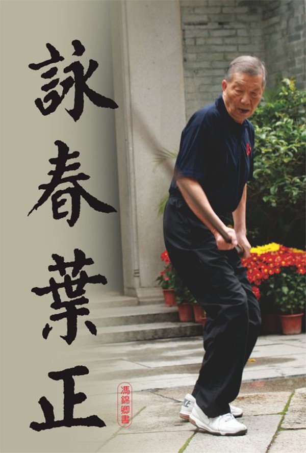 Con trai Diệp Vấn đứng im như tượng vẫn làm cao thủ Thiếu Lâm Tung Sơn khiếp đảm-3